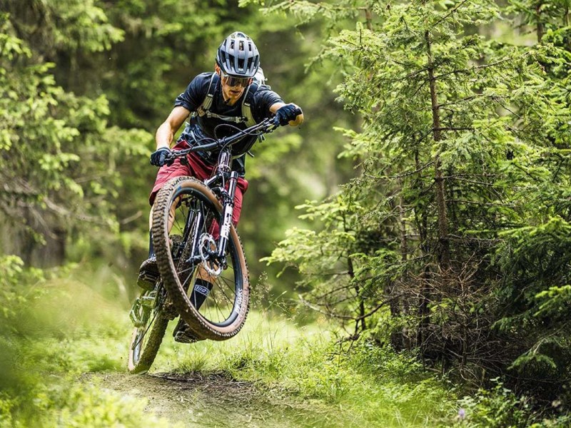 Mountainbikefahrer im Wald von vorne, macht gerade einen kleinen Sprung