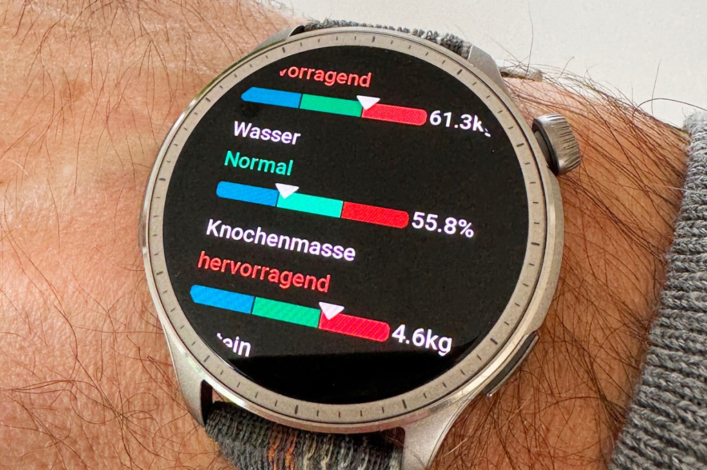 Amazfit Balance Körperanalyse