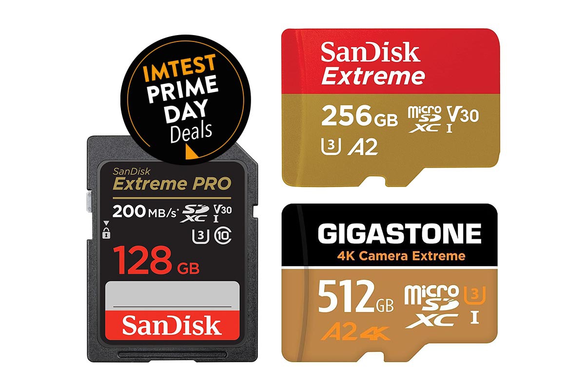 Productshots dreier SD-Speicherkarten, darüber der Amazon Prime Button
