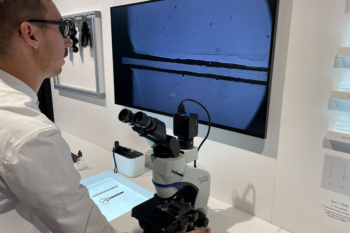 Der Haar-Abdruck wird unter dem Mikroskop angeschaut. Das Bild wird auf einem großen Bildschirm gezeigt.