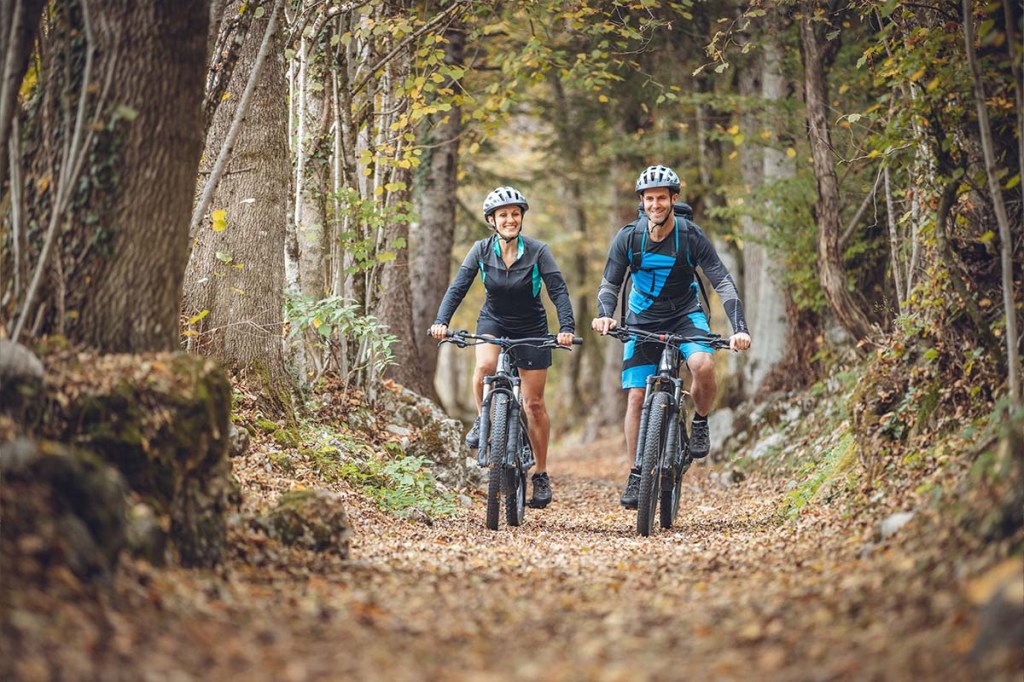 Zwei Mountainbikefahrer fahren durch einen Wald