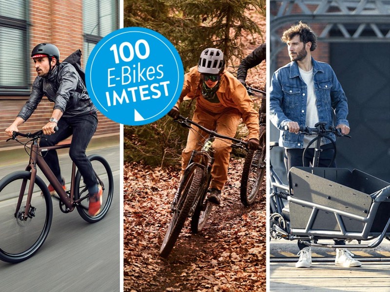 E-Bikes: Die besten 100 im Test – von Trekking- bis Cargo-E-Bike