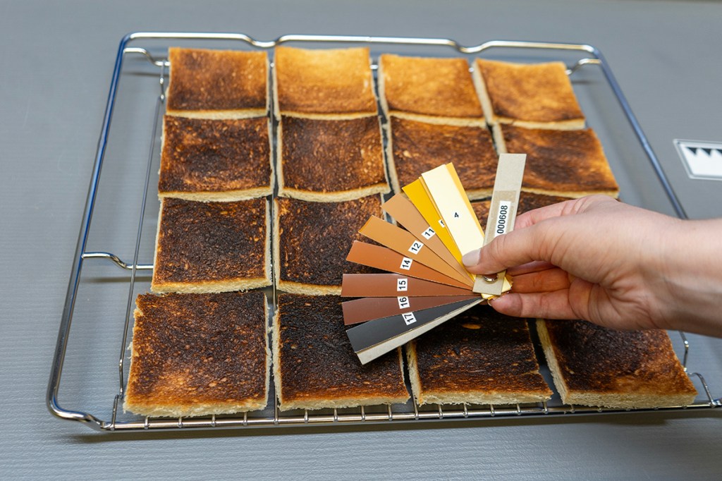 Eine Hand vergleicht einen Farbfächer mit gerösteten Toast-Scheiben auf einem Gitterrost.