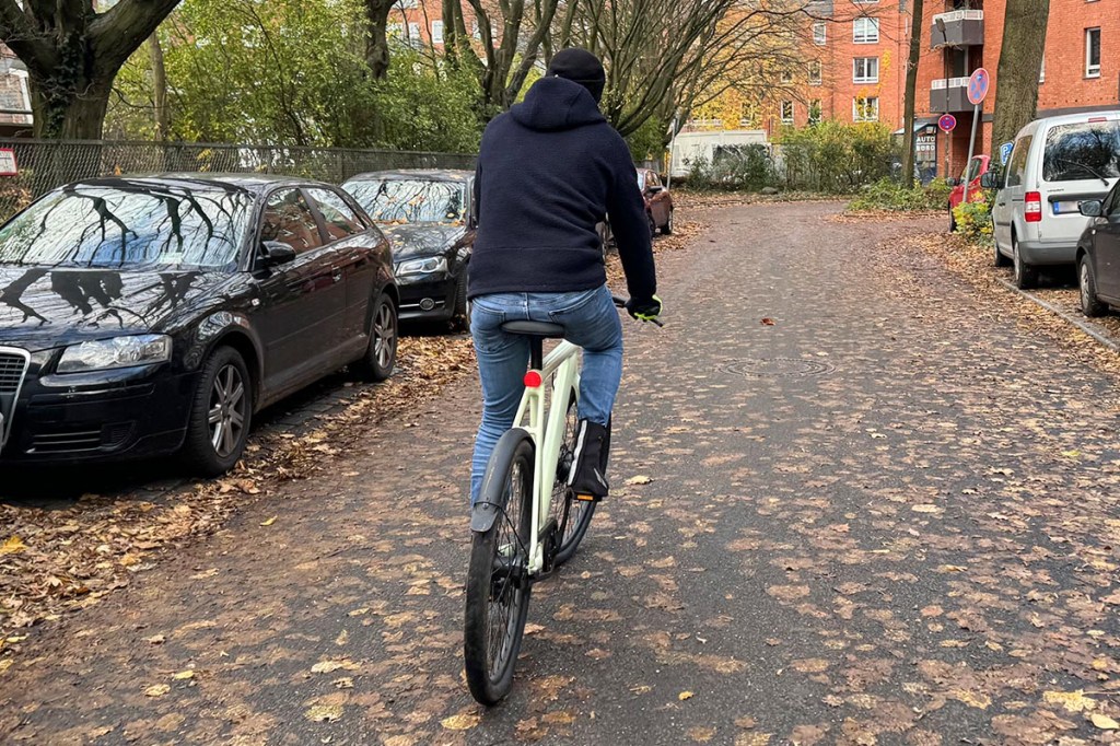 Mann mit E-BIke von hinten, fährt eine Straße entlang, die voller Blätter ist