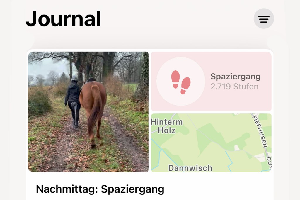 Screenshot aus der App Journal von iOS. Man sieht eine Frau mit einem Pferd.