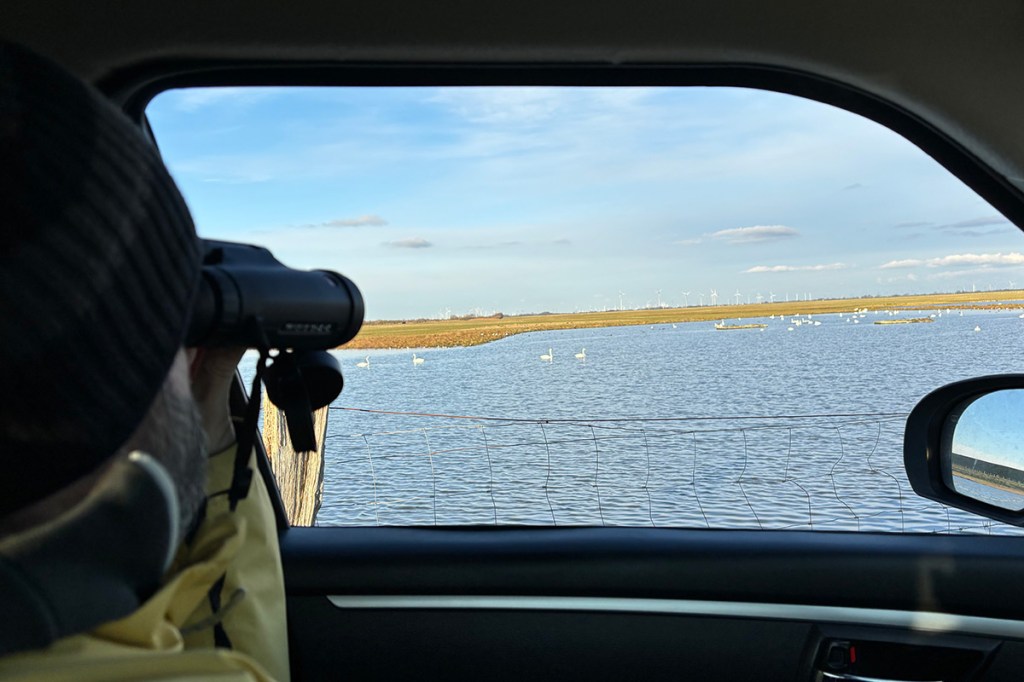 Ein Mann mit Mütze sitzt im Auto und schaut mit einem Fernglas zum Seitenfenster hinaus.