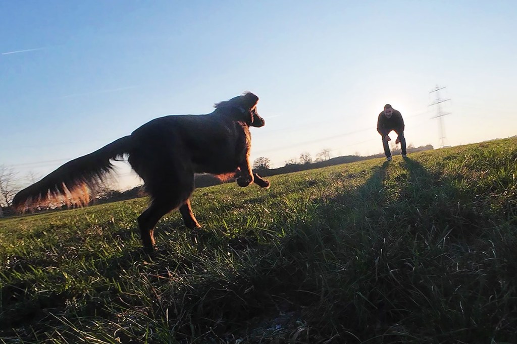 Hundevideo mit Action Cam