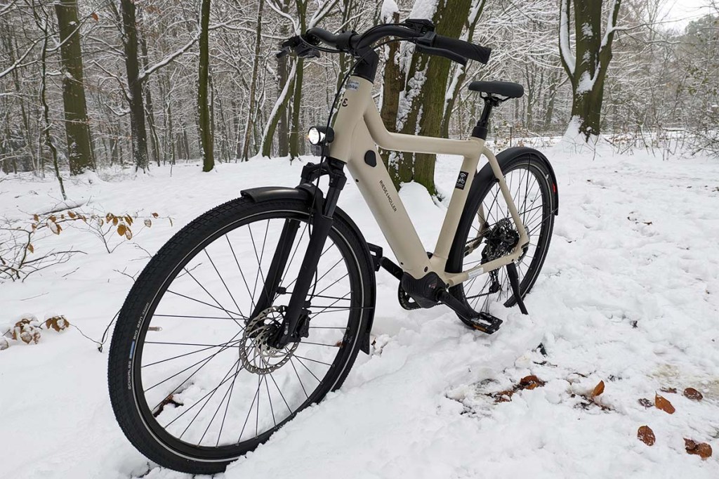 beige-farbenes E-Bike in winterlicher Landschaft stehend