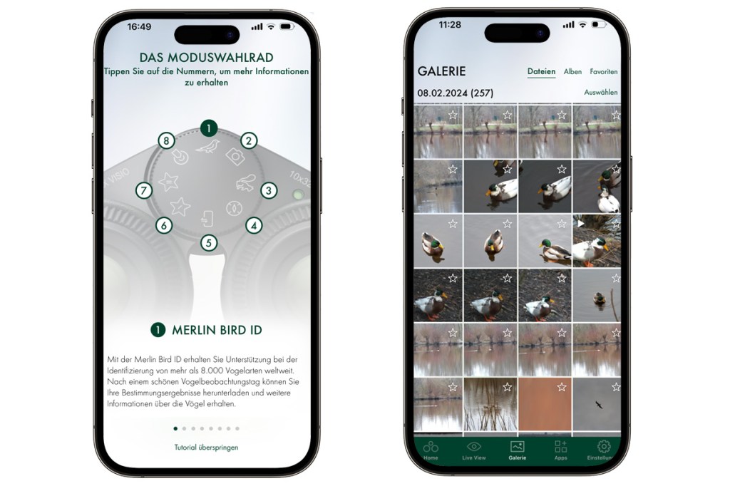 2 Screenshots aus der Companion-App Swarovski Outdoor, zu sehen sind ein Tutorial und eine Fotogalerie mit Enten.