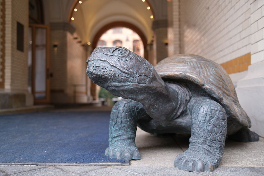 Figur einer Schildkröte im Hoteleingang