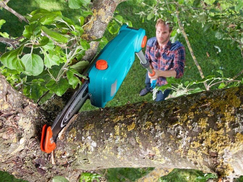 Hochentaster beim Einsatz in einem Baum.