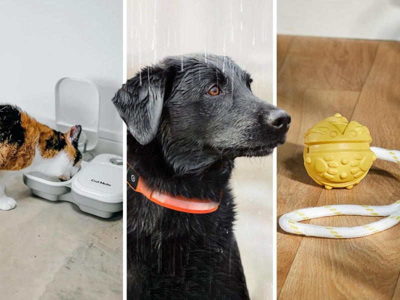 Katzen- und Hunde-Gadgets: Praktische Produkte für Ihr Haustier