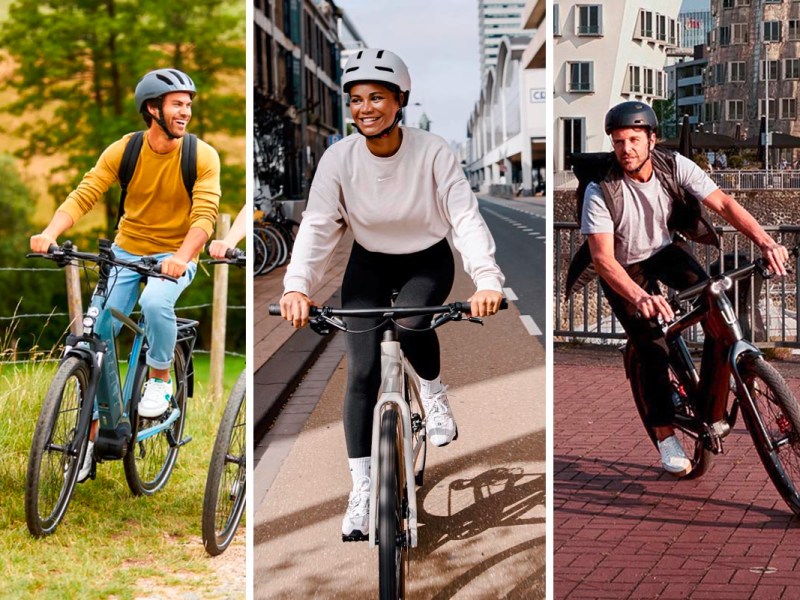 Verschiedene Typen von E-Bikes auf einem dreigeteiltem Bild.