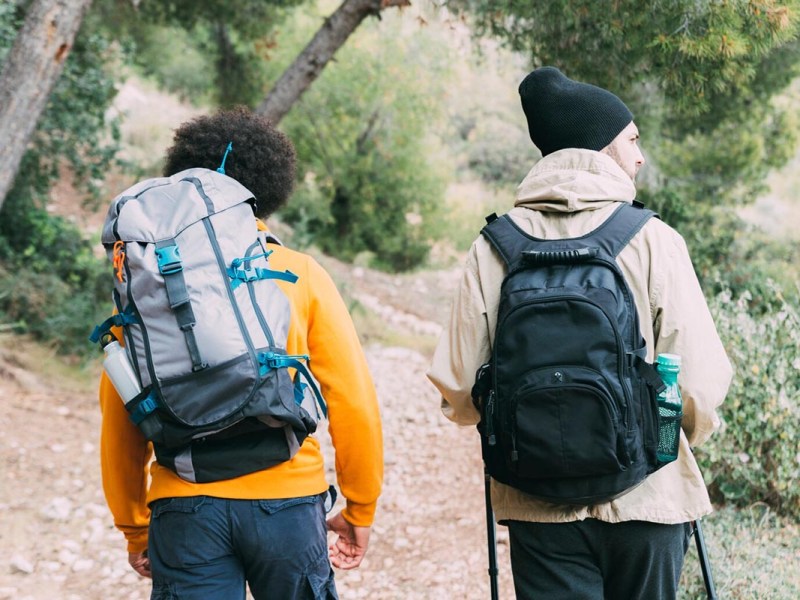 Zwei Personen mit Rucksack spazieren in einem Wald.