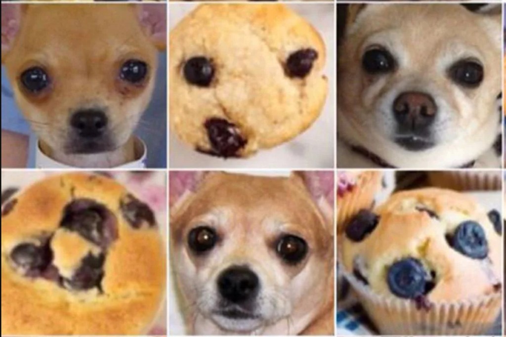 Hund oder Muffin? KI