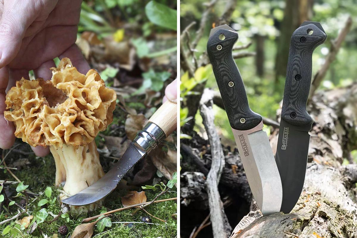 Links: Messer schneidet einen Pilz. Rechts: Zwei Messer in einem Baumstamm.