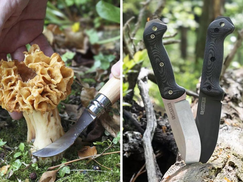 Links: Messer schneidet einen Pilz. Rechts: Zwei Messer in einem Baumstamm.