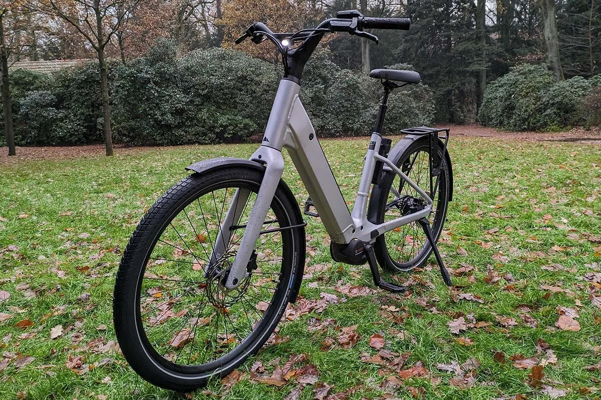 silbernes City-E-Bike auf einer Wiese stehend