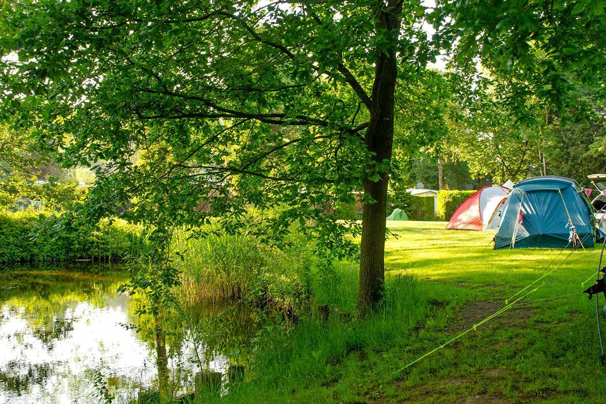 Freizeit- und Campingpark Geesthof