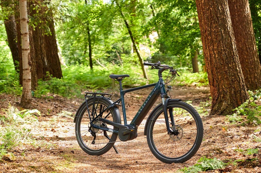dunkelgrünes E-Bike in einem Wald stehend