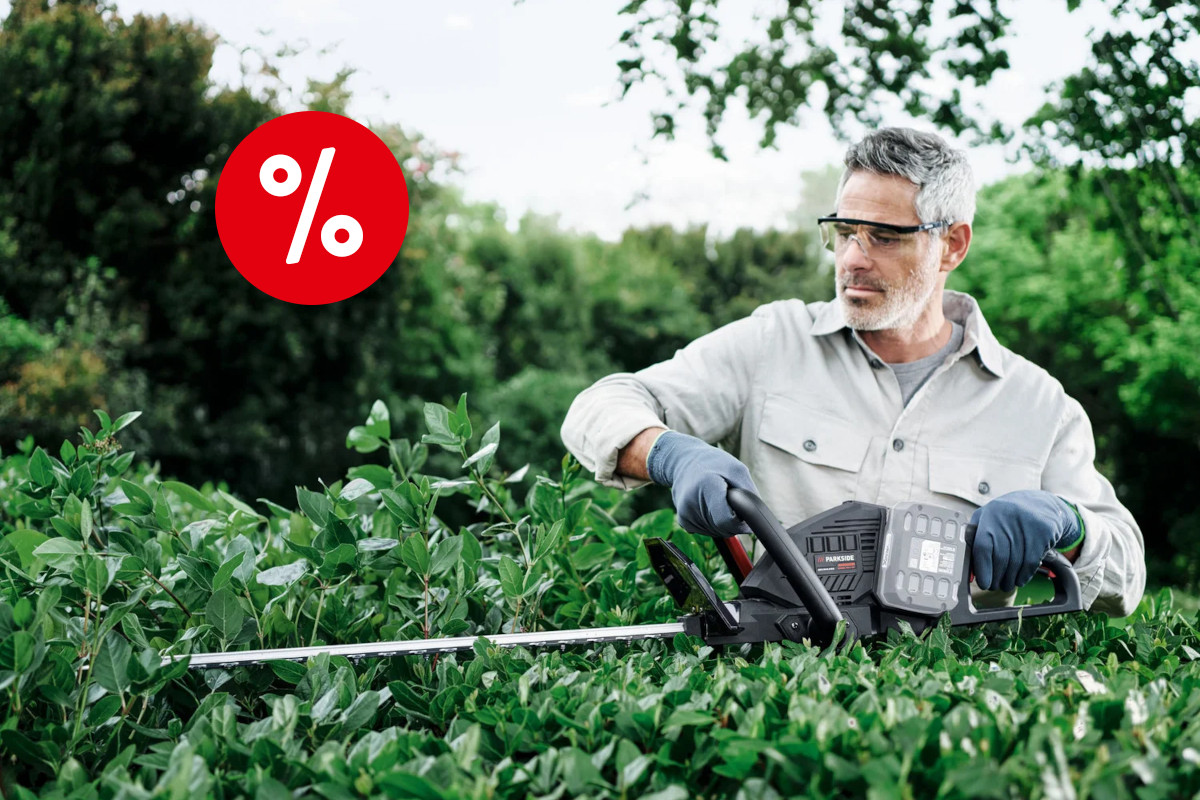Grauhaariger Mann in weißem Shirt mit grauen Schutzhandschuhen und durchsichtiger SChutzbrille steht hinter grüner Hecke und hält eine graue Parkside-Heckenschere an die Äste, im Hintergrund weitere Hecken und Bäume mit rotem Prozentbutton oben links