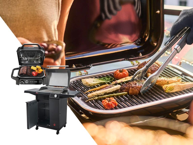 Die 7 besten Elektrogrills im Test: So klappt Grillen mit Strom