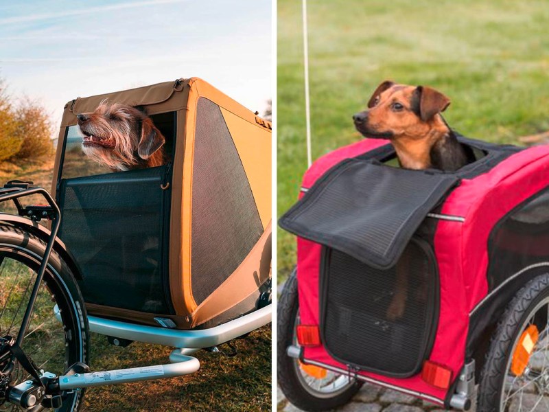 Fahrradanhänger für Hunde: Die 5 besten Modelle