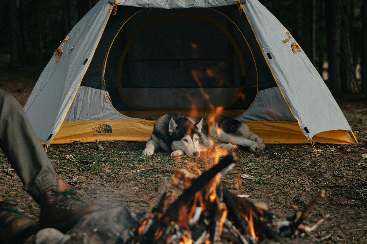 ein Hund liegt vor einem geöffneten Zelt, ein Lagerfeuer ist im Vordergrund