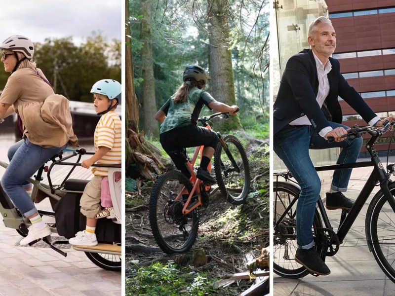 Personen fahren auf verschiedenen Arten von E-Bikes auf einem dreigeteiltem Bild.
