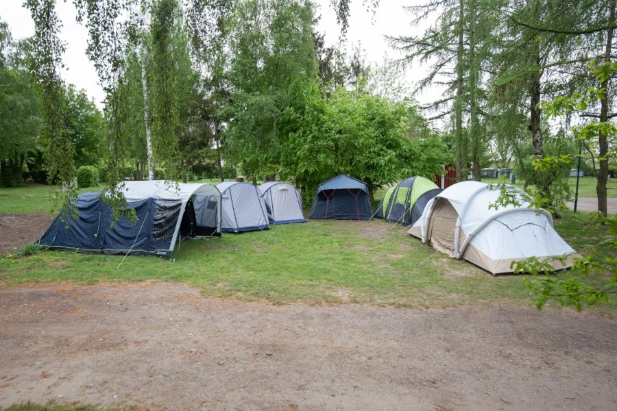 6 Zelte im Halbkreis auf einer Campingwiese stehend, umringt von Bäumen