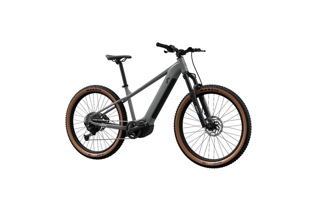 Crivit E-Mountainbike
