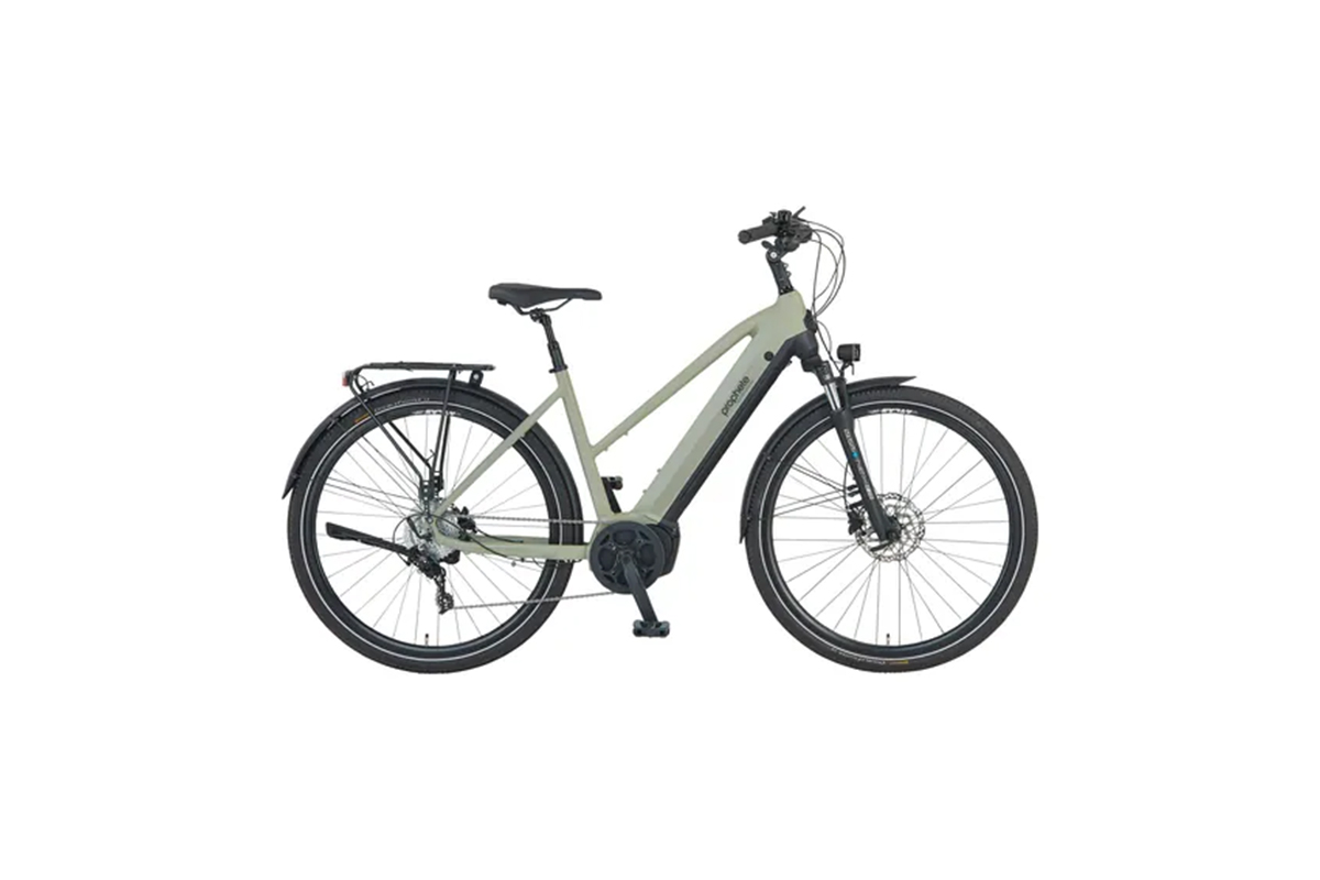 Trekking E-Bike Entdecker 4.3, Damen