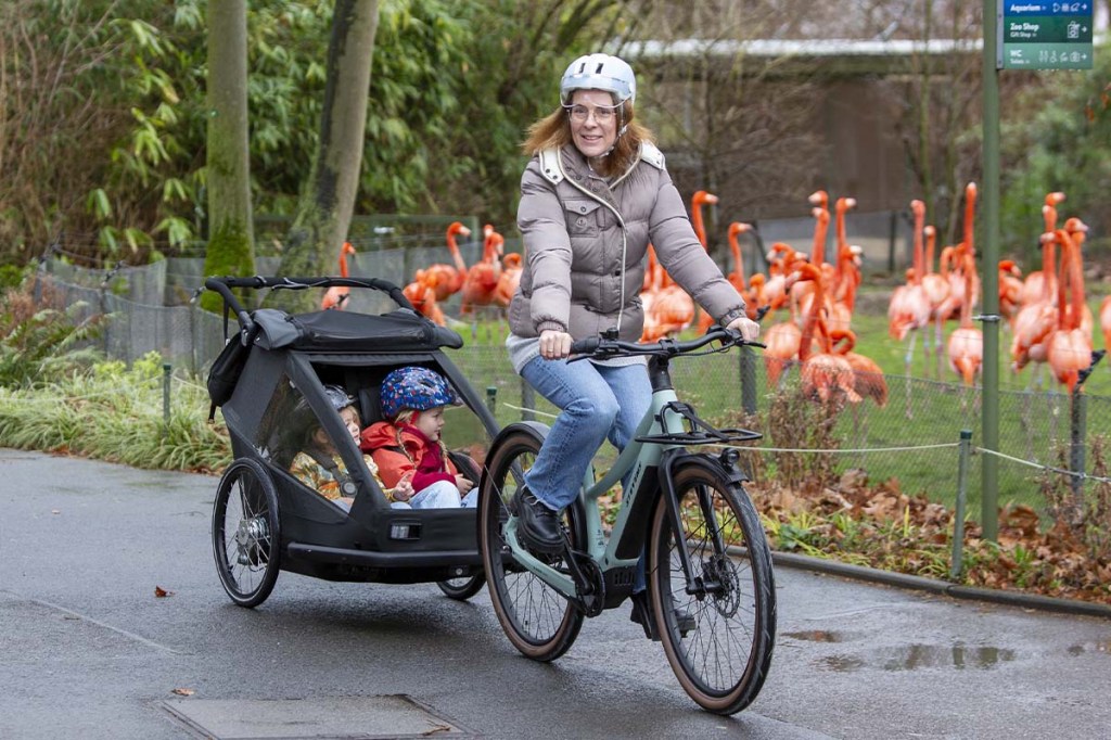 Frau fährt mit einem Fahrrad samt Kinderanhänger, in denen Kinder sitzen, an einem Flamingogehege vorbei